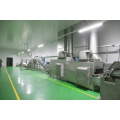 Continuous Deep Frying Line