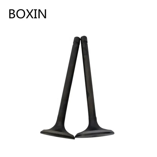 Factory Direct Sale Engine Valves for AZV/BKD/BMN Models - 03G109601B, 03G109601A Intake & 03G109611D Exhaust