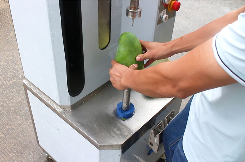pumpkin peeling machine