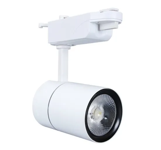White 30W track light for restaurant