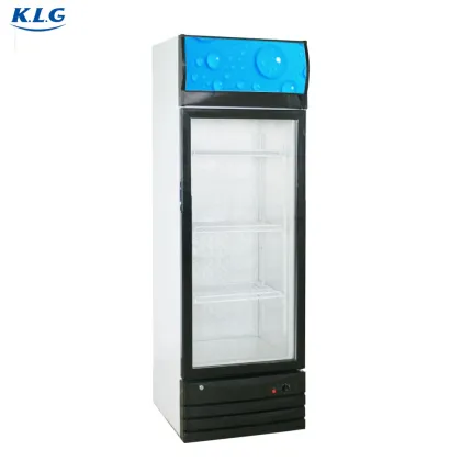 LC/D-278 Single Door Vertical Ice Cream Freezer Refrigerator