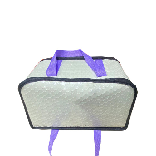 Picnic Insulated Lunch Bag Leakproof Cooler Bag