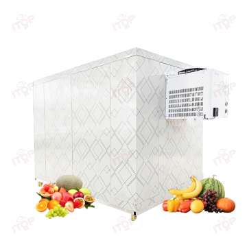 Portable 3-in-1 Mobile Container Cooler Freezer for Fish, Meat, and Vegetables