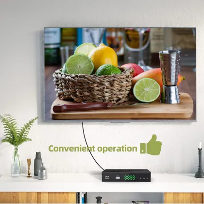 Indonesia 1080P DVB-T2 Digital TV Receiver Set Top Box