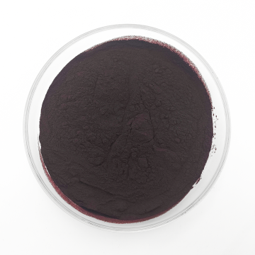 Ekstrak Elderberi Hitam 5% 15% Anthocyanin
