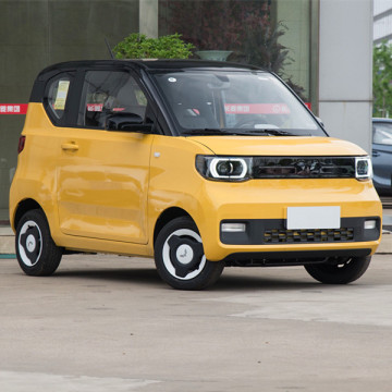 Tiny Electric Car