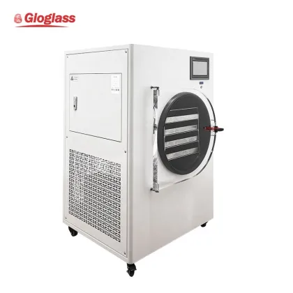 Mini Household Vacuum Freeze Dryer Machine for Candy