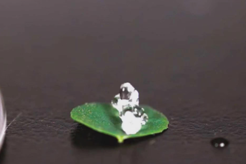 High-Speed Cameras Capture the Beauty of Fluid Dynamics: HEVOX Empowers Industrial Process Visualization