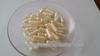 fish gelatin empty capsule with high quality