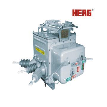 ZW20A-12/17.5/24 Outdoor AC Vacuum Circuit Breaker