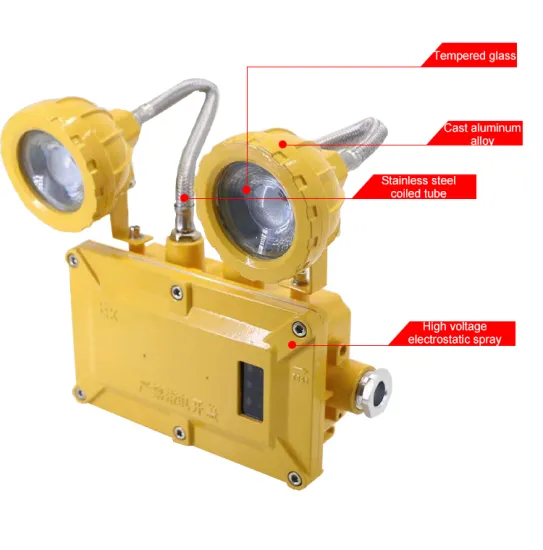LEDUN 2*3W Explosion-Proof Double-Head Emergency Lights for Oil and Gas Industry