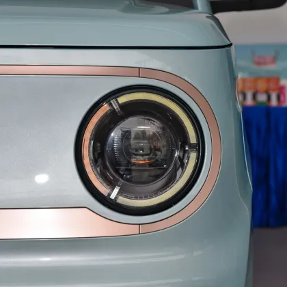 Geely 2023 120km Panda Mini Cute Bear Car