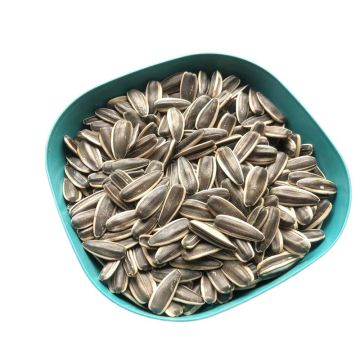 Raw Sunflower Seeds With Different Types