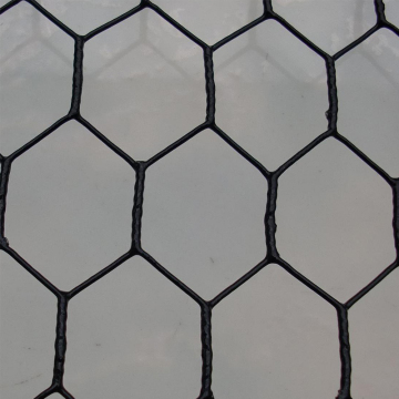 Good Flexibility Hexagonal Wire Nettings