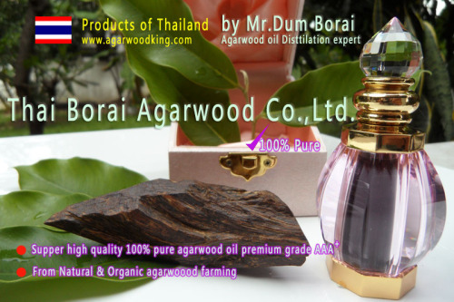 agarwood oil,oud oil,alosewood oil