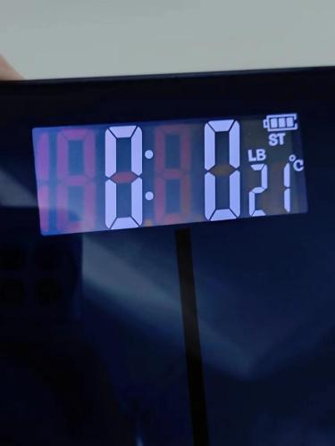 household smart body fat scale