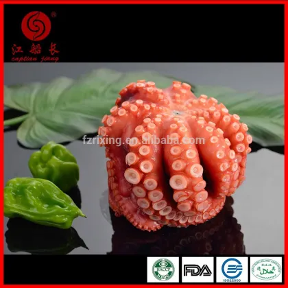 Frozen Octopus