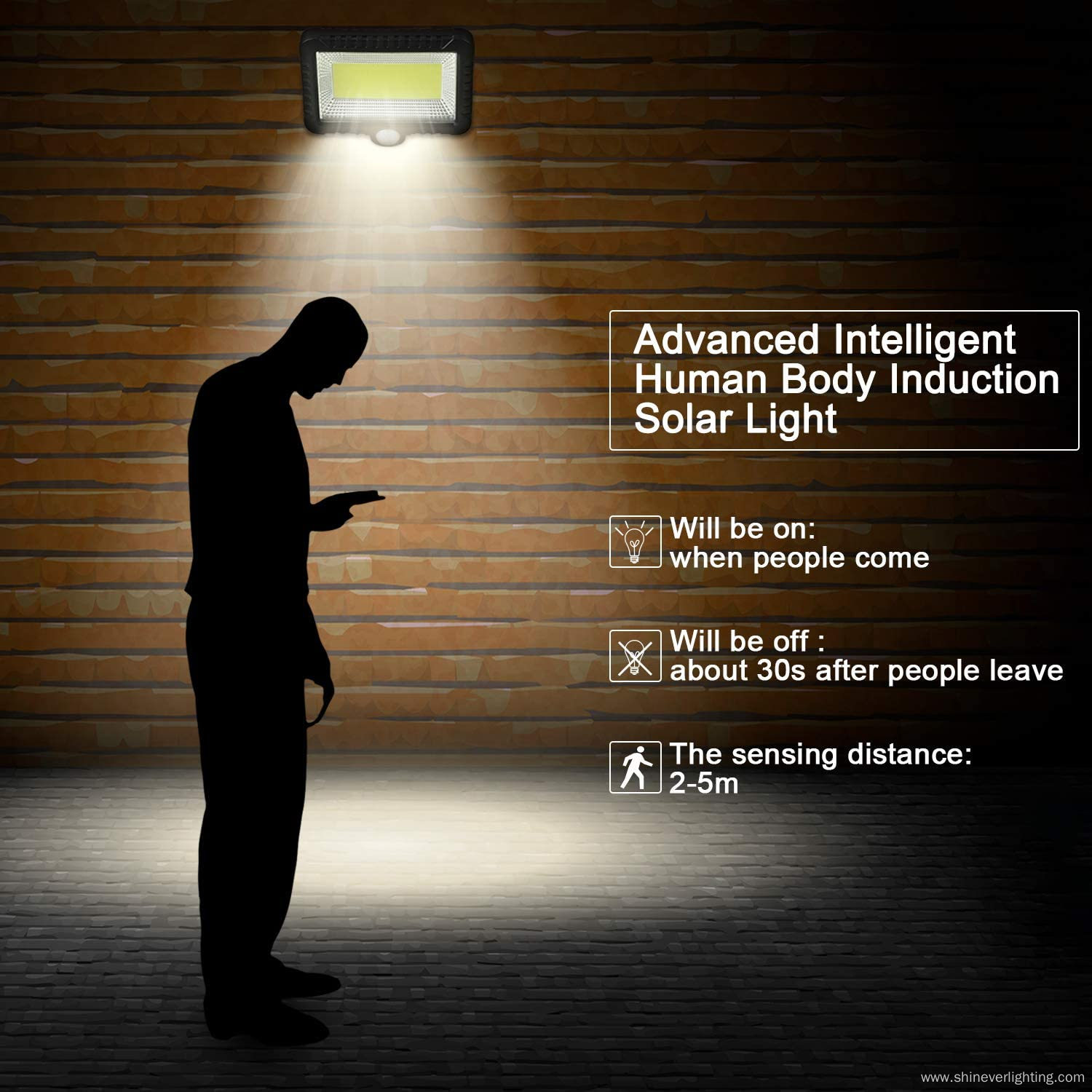 Courtyard Split security Motion Sensor PIR Wall Light