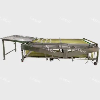 Date Palm Processing: Red Dates Grading Machine