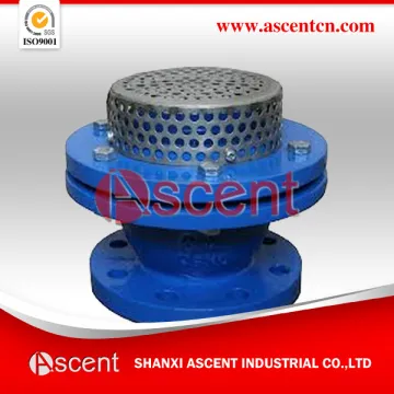Stainless Steel Screen Foot Valve