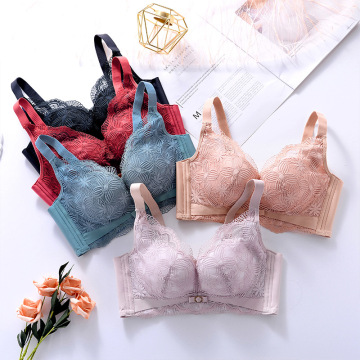 Wholesale Plus Size Sexy Adjustable Lace Push-Up Bra