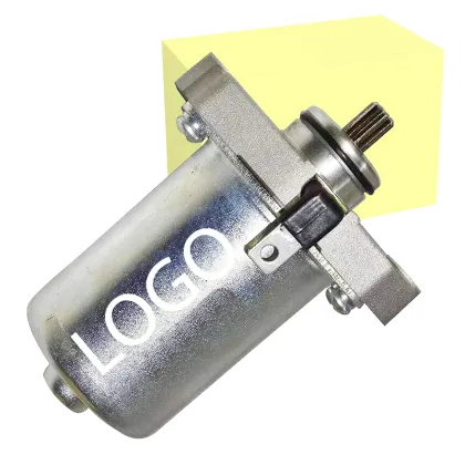 High Quality Factory PEP Scooter Motors: PEP Plus, Streak, Zest, and Electric Self-Starter Motor Assay