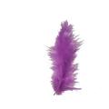Hot Sale Coloful Goose Feather