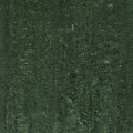 /msite/products/detail/productid/54227441/id/523794.html