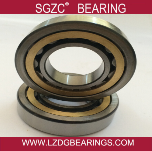 China wholesaler Professional OEM brand full complement cylindrical roller bearings