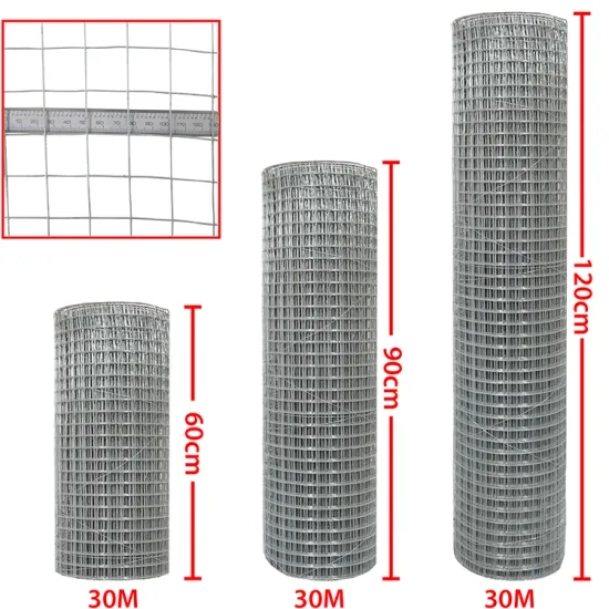 50ft/100ft Length Galvanized PVC Coated Welded Wire Mesh: Your Reliable Choice for Versatile Applications