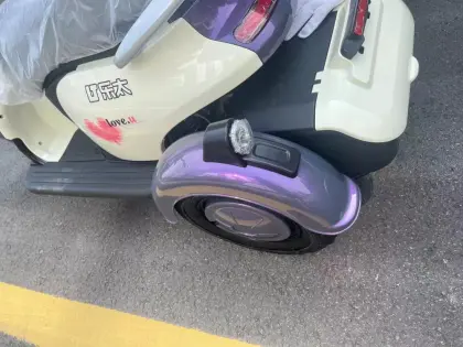 One three-wheeled electric vehicle