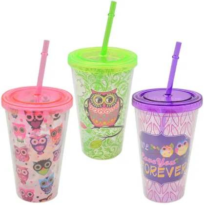 Double Walled Clear Plastic Straw Cup