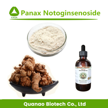 Radix Panax Notoginseng Powder Enhancing Immunity