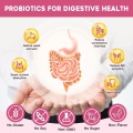 OEM/ODM Weight Loss Digestive Slim Women's Probiotic Powder