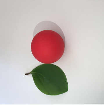 Lacrosse ball  lacrosse balls bulk