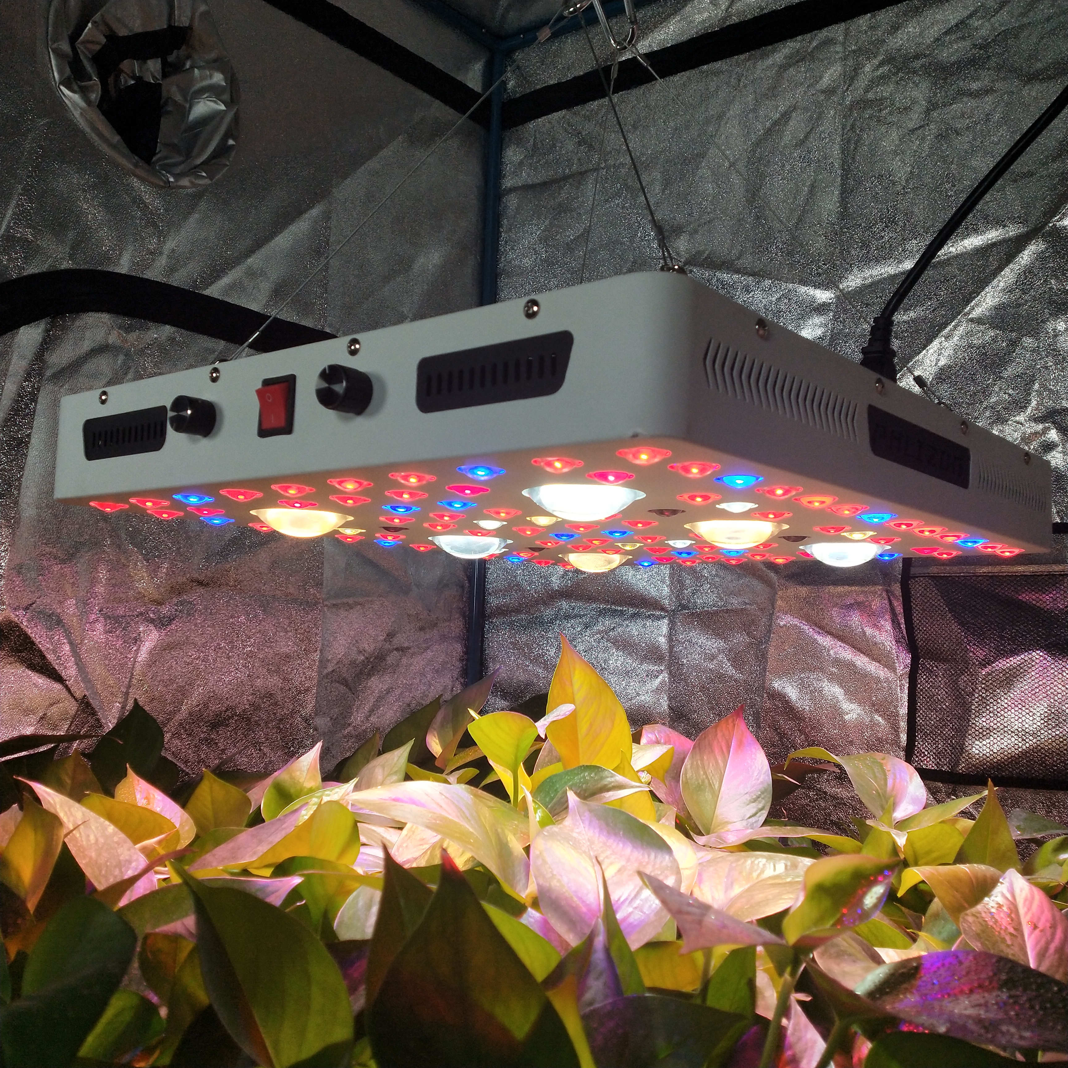 Led Grow Light Cob