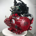 250ccm horizontaler zentraler Wellenwasser gekühlter Motor