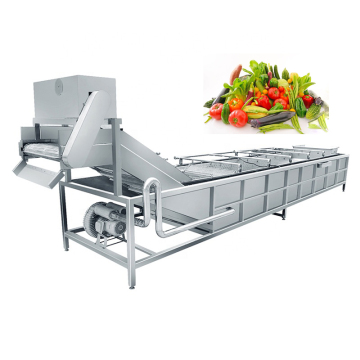 Lettuce Leaf Vegetable and Fruit Air Bubble Washing Machine