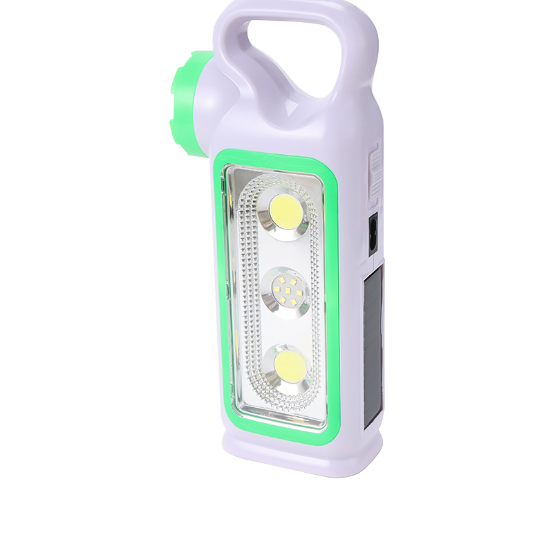 Household Backup Light