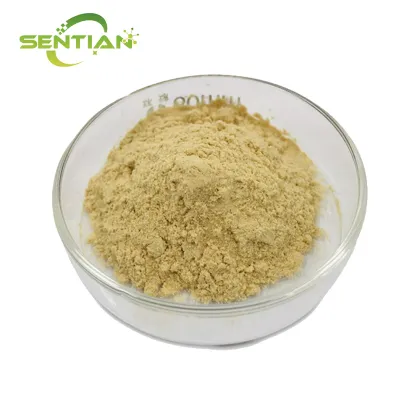 High-Quality Sea Cucumber Extract
