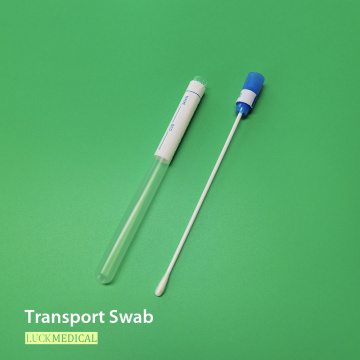 Amostra de swab de transporte no tubo com dica de rayon