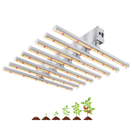 Wholesale 600W High-Power LED Grow Light System for Indoor Vertical Farming and Hydroponic Lettuce Cultivation