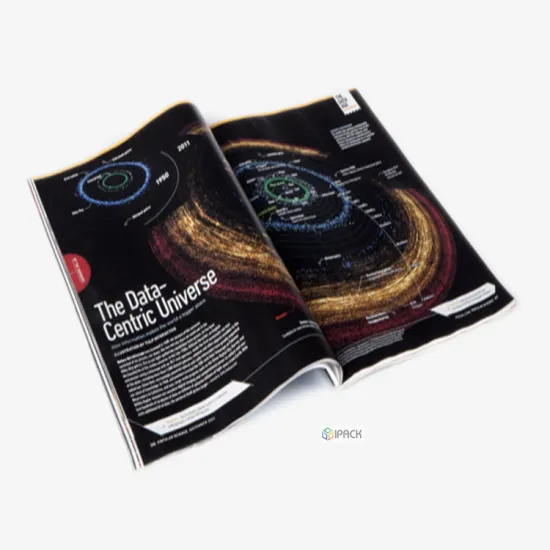 Custom Booklet Printing Brochure Photo Picture Album