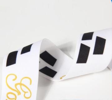 Custom Nylon Ribbon with Logo and Picture Printed Elastic