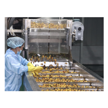 Fruit Juice Processing and Making Machine