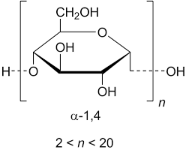 Maltodextrin Corn Png