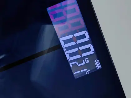 household smart body fat scale