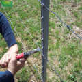 Galvanized Paint Green Vineyard Teralis T Type Posts