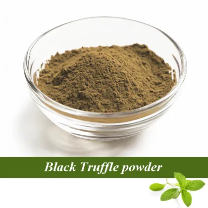 Black Truffle powder wholesale