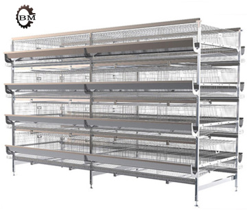 Automatic Egg Collection System for Poultry Farming: H-Type Battery Layer Chicken Cages